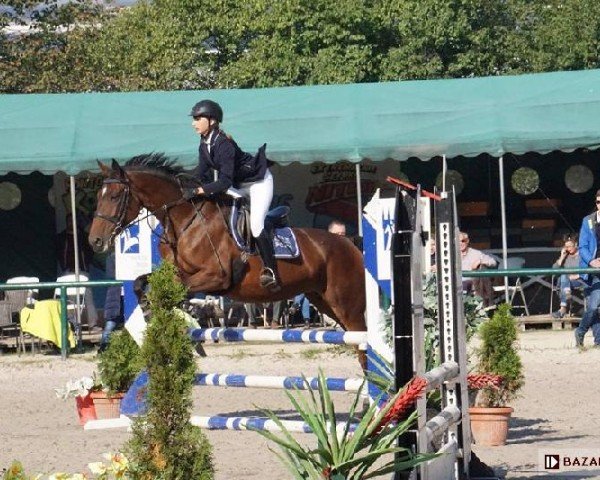 broodmare Bravia MK (Little-Poland (malopolska), 2009, from Frazes AA)