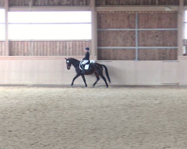Reitturnier Marktredwitz 2025