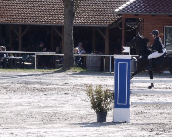 Reitturnier Richelsdorf 2025