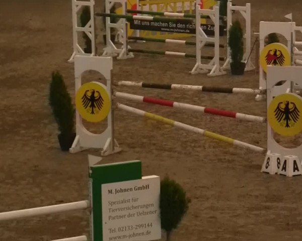 Junior Open 2013