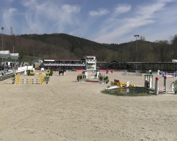 Reitturnier Balve-Wocklum 2025