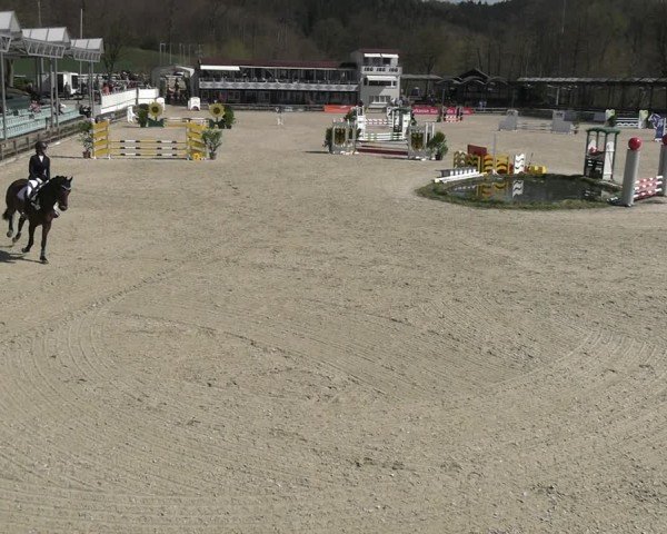 Reitturnier Balve-Wocklum 2025