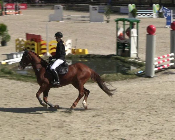 Reitturnier Balve-Wocklum 2025