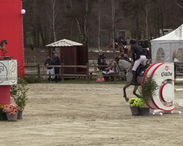 Reitturnier Westergellersen 2025