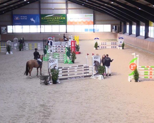 Reitturnier Niebüll 2025
