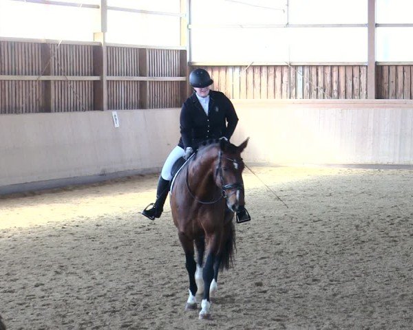 Reitturnier Marktredwitz 2025