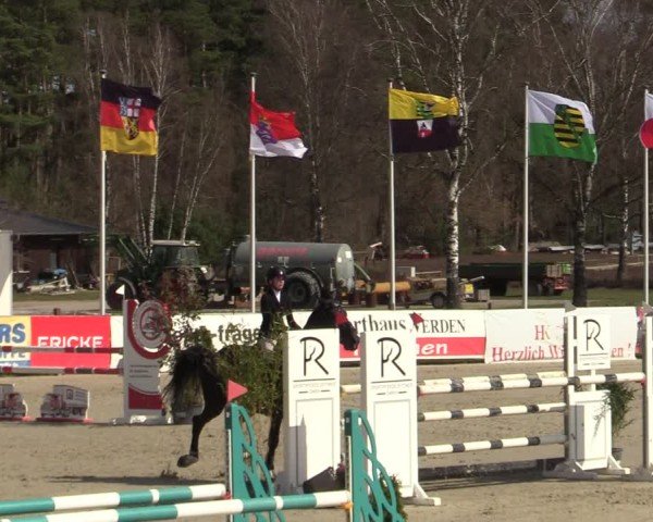 Reitturnier Westergellersen 2025