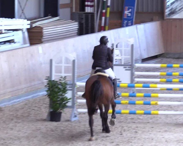 Reitturnier Niebüll 2025