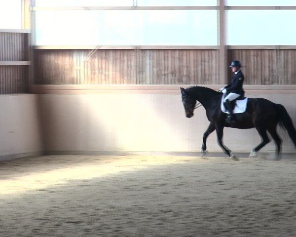 Reitturnier Marktredwitz 2025