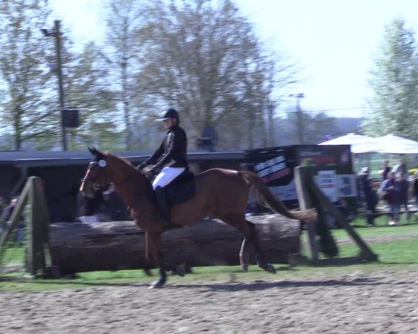 Reitturnier Olfen 2025