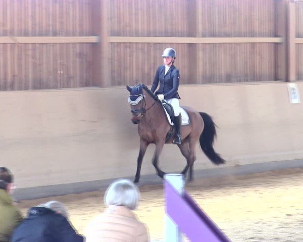 Reitturnier Marktredwitz 2025