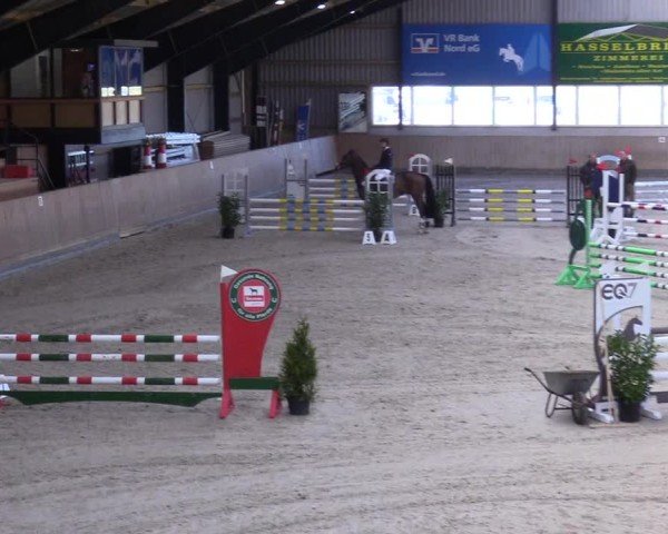Reitturnier Niebüll 2025