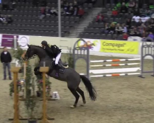 Jugend-Challenge 2013