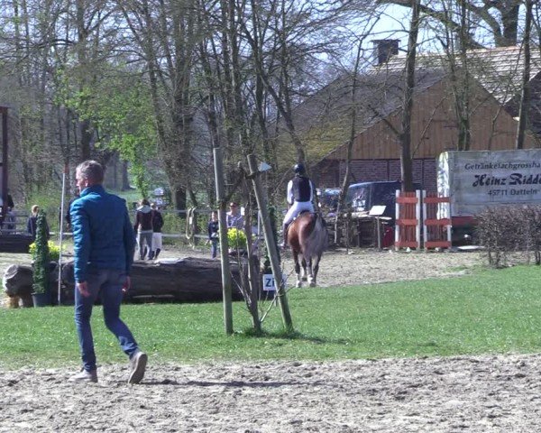 Reitturnier Olfen 2025