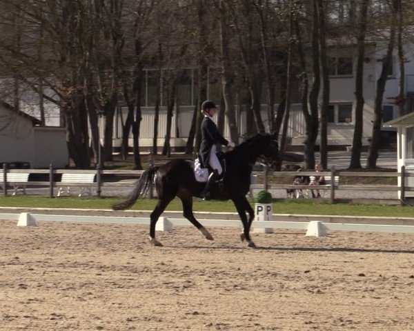 Reitturnier Balve-Wocklum 2025