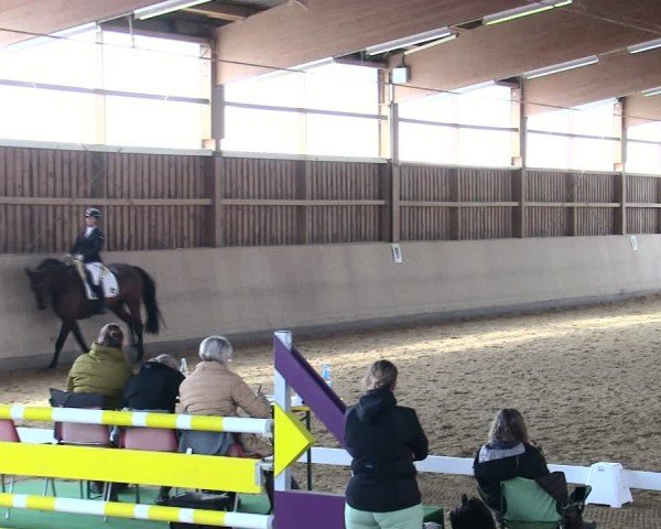 Reitturnier Marktredwitz 2025