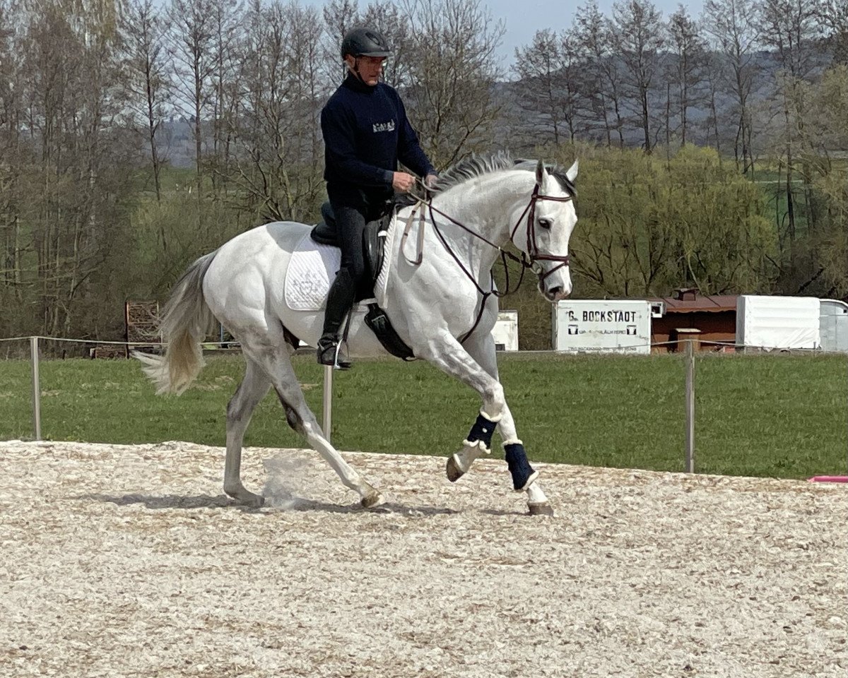 horse Royal flag (Thoroughbred,  )