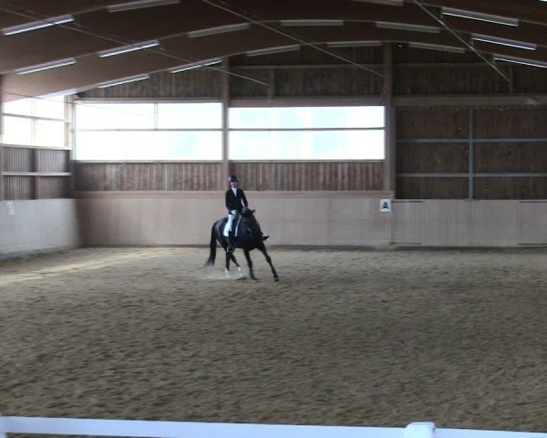 Reitturnier Marktredwitz 2025