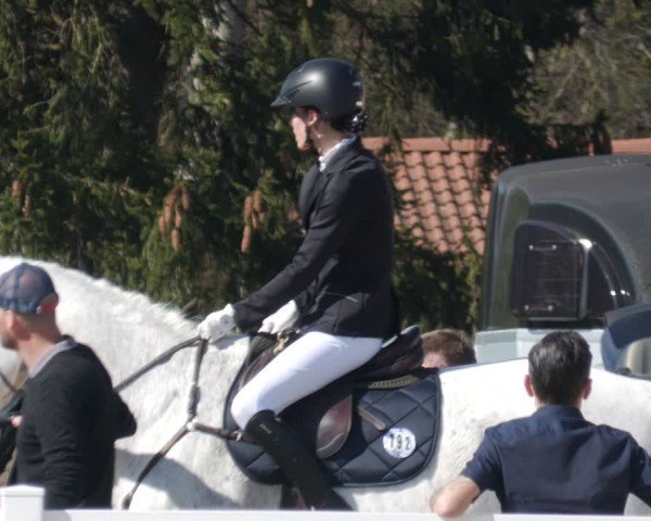 Reitturnier Memmingen 2025