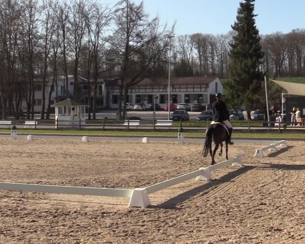 Reitturnier Balve-Wocklum 2025
