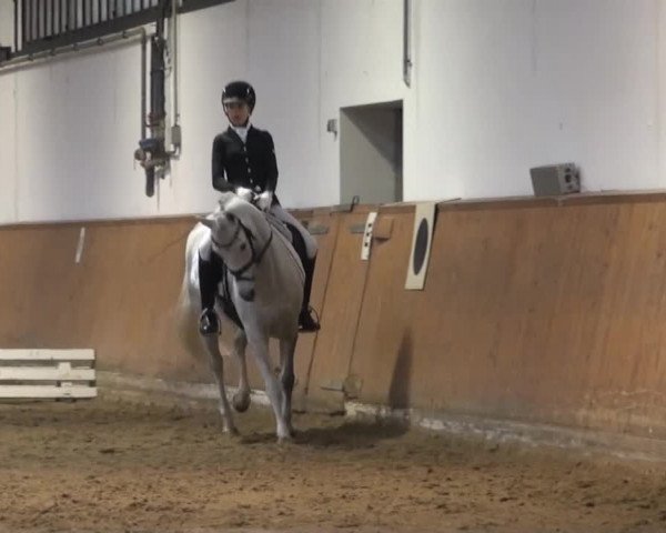 Jugend-Challenge 2013