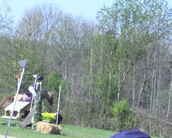 Reitturnier Olfen 2025