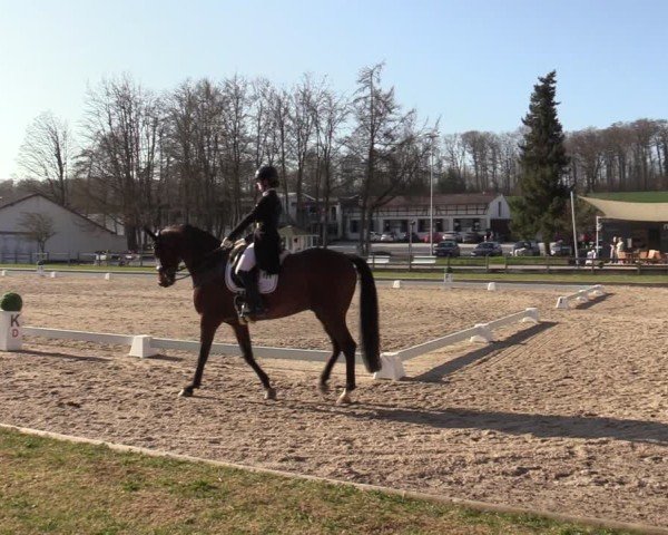 Reitturnier Balve-Wocklum 2025
