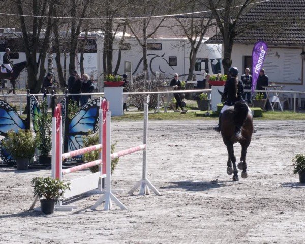 Reitturnier Richelsdorf 2025
