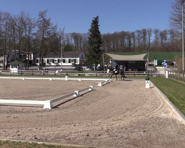 Reitturnier Balve-Wocklum 2025