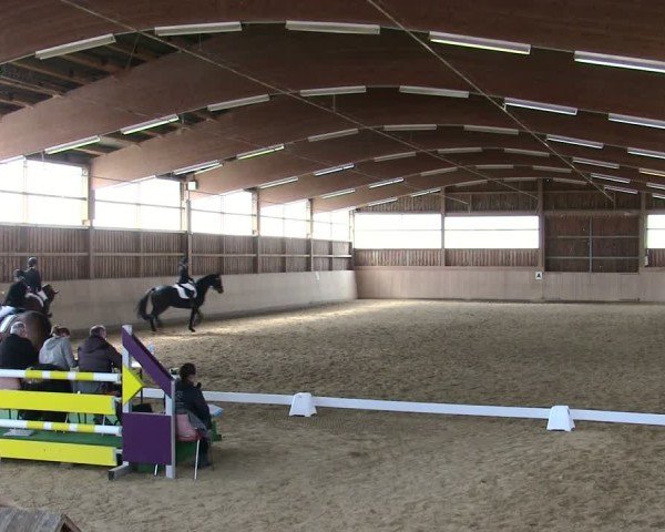Reitturnier Marktredwitz 2025