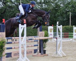 jumper César H (Westphalian, 2016, from Congress)