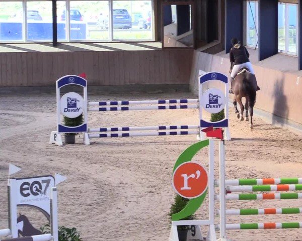 Reitturnier Niebüll 2025