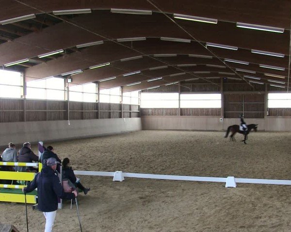 Reitturnier Marktredwitz 2025