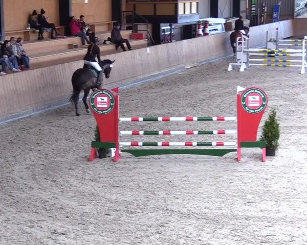 Reitturnier Niebüll 2025