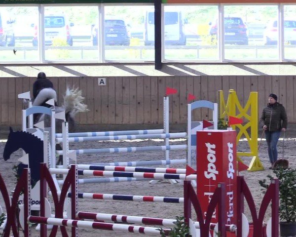 Reitturnier Niebüll 2025