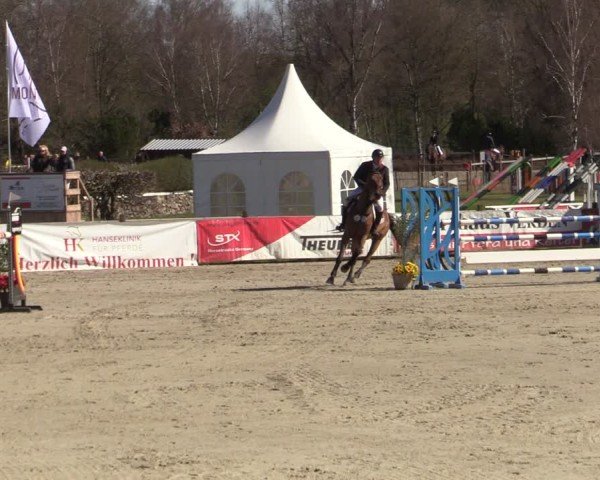 Reitturnier Westergellersen 2025