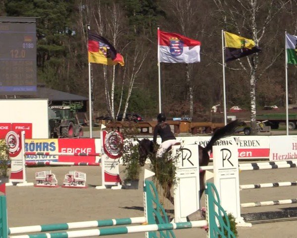 Reitturnier Westergellersen 2025