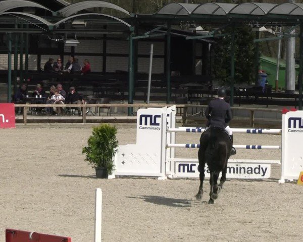 Reitturnier Balve-Wocklum 2025