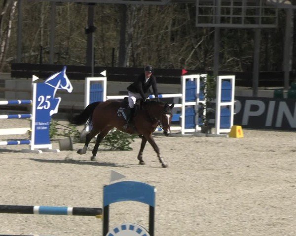 Reitturnier Balve-Wocklum 2025