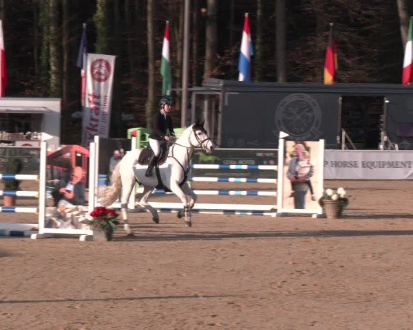 Reitturnier Ranshofen - Braunau am Inn 2025