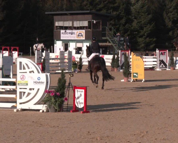 Reitturnier Ranshofen - Braunau am Inn 2025