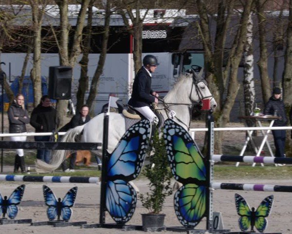 Reitturnier Richelsdorf 2025