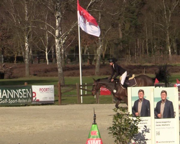 Reitturnier Westergellersen 2025