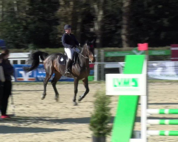 Reitturnier Bottrop 2025