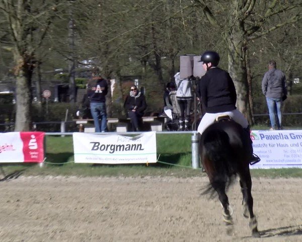 Reitturnier Bottrop 2025