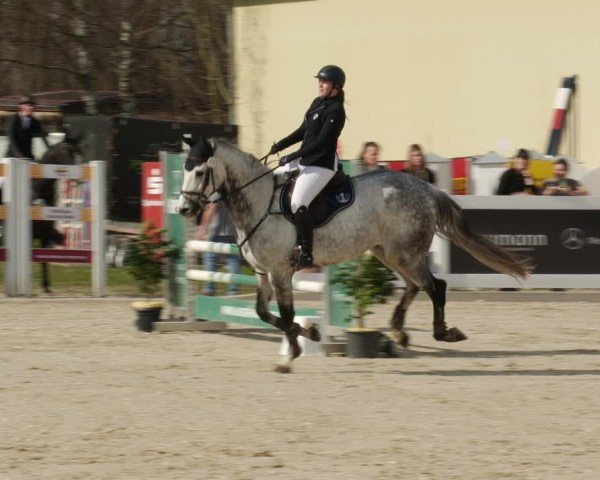 Reitturnier Memmingen 2025