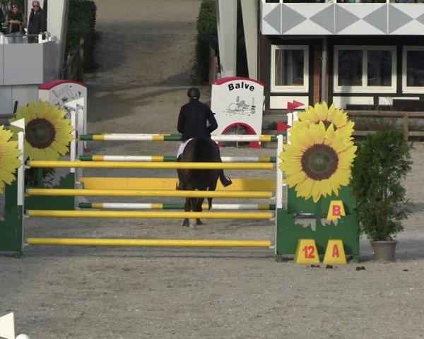Reitturnier Balve-Wocklum 2025