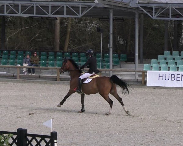 Reitturnier Balve-Wocklum 2025