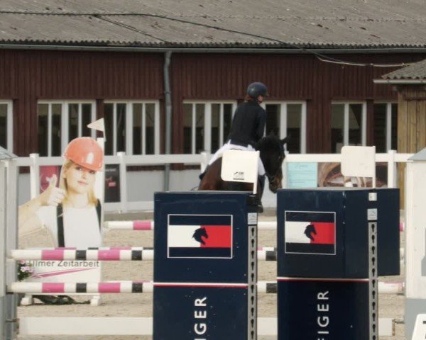 Reitturnier Memmingen 2025