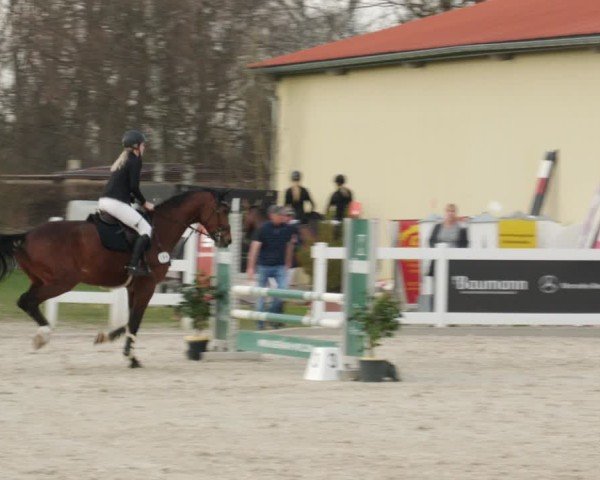 Reitturnier Memmingen 2025